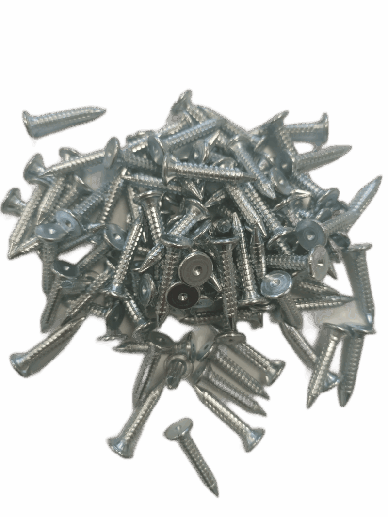 CHIODI TOPOGRAFICI 2,5 CM ZINCATI cf 100 pz