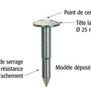 CHIODI TOPOGRAFICI 5,5CM cf 50 PZ