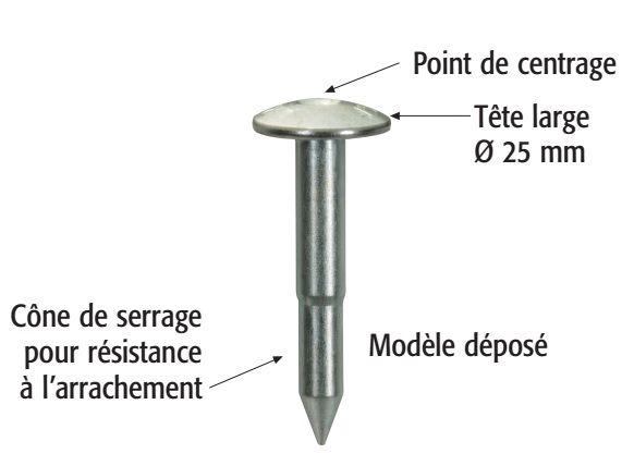 CHIODI TOPOGRAFICI 5,5CM cf 50 PZ