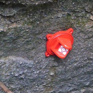 rs193rm_echelsbacher_Bruecke_09 TARGET RS193Mr